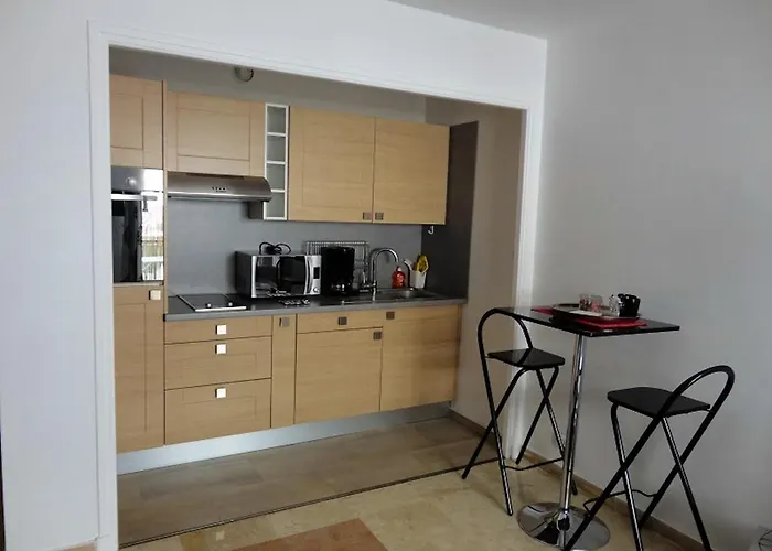 Appartement Au Coeur De Avec Balcon Et Parking Cannes